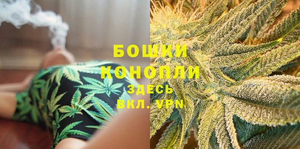 ГАЛЛЮЦИНОГЕННЫЕ ГРИБЫ Горно-Алтайск