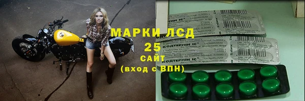 ГАЛЛЮЦИНОГЕННЫЕ ГРИБЫ Горно-Алтайск