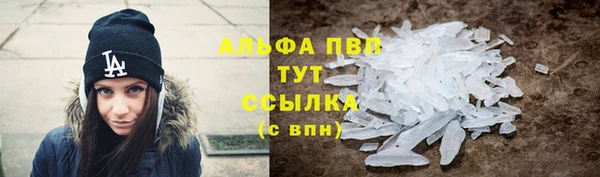 ГАЛЛЮЦИНОГЕННЫЕ ГРИБЫ Горно-Алтайск