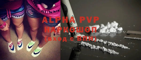 ГАЛЛЮЦИНОГЕННЫЕ ГРИБЫ Горно-Алтайск