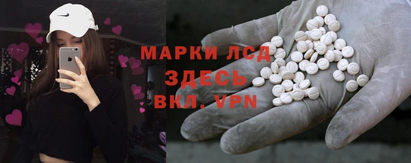 ГАЛЛЮЦИНОГЕННЫЕ ГРИБЫ Горно-Алтайск