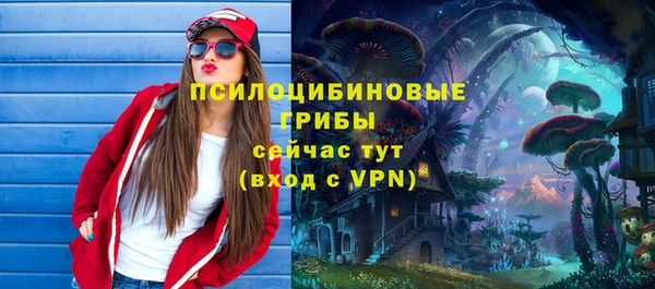 мяу мяу мука Горнозаводск