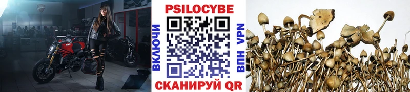 Галлюциногенные грибы прущие грибы  Купить  Учалы 